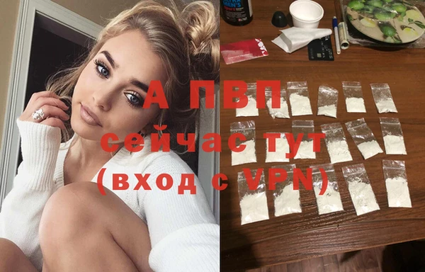 шишки Иннополис