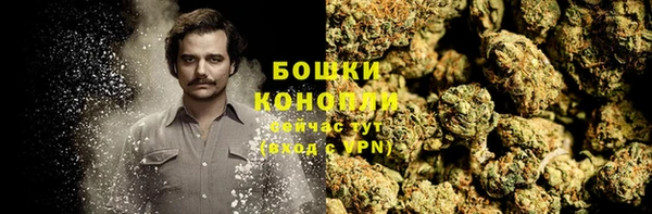 Альфа ПВП Осинники