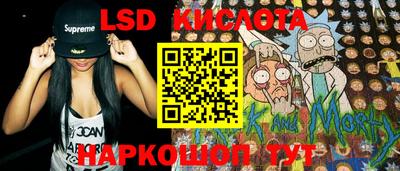 PSILOCYBIN Заводоуковск