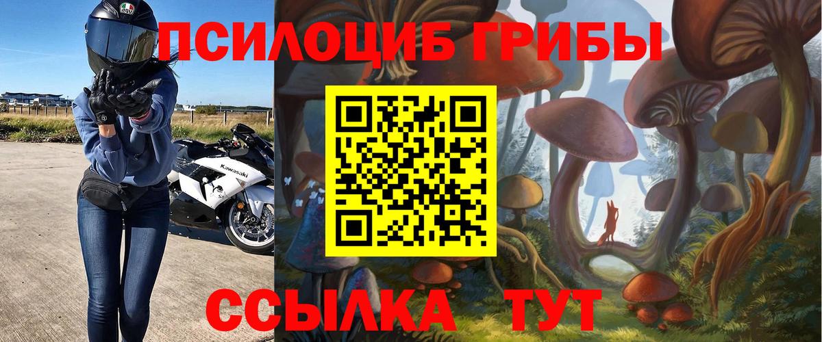 Галлюциногенные грибы Cubensis Краснокаменск